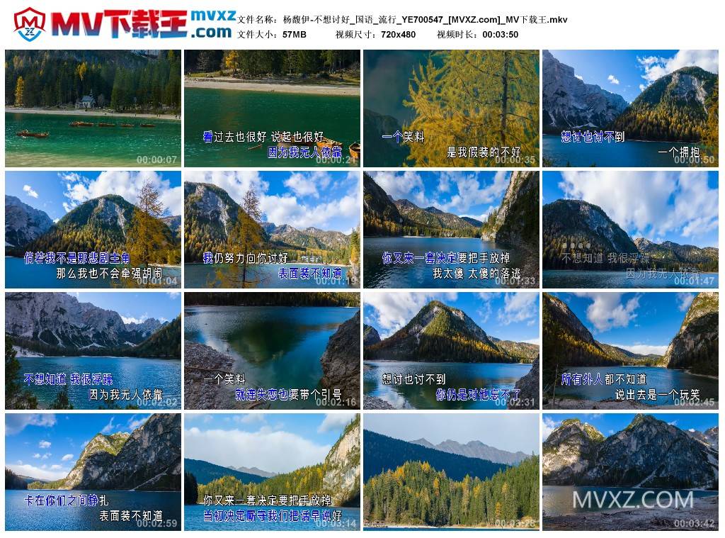 杨馥伊-不想讨好_国语_流行_YE700547